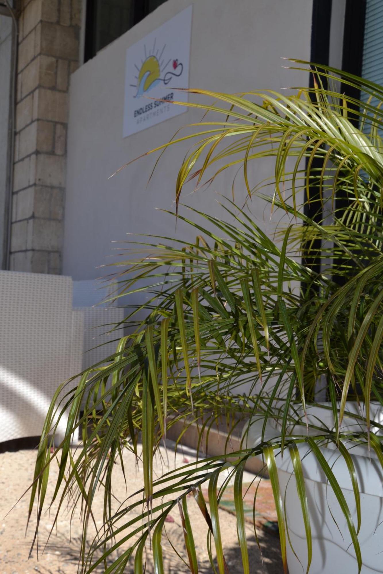 Endless Summer Apartments Scanzano Jonico Ngoại thất bức ảnh